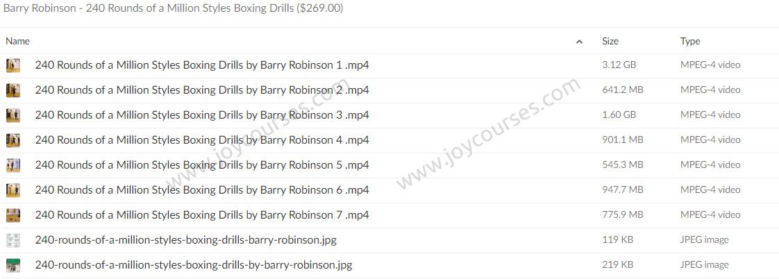 Barry Robinson - 240 Rounds of a Million Styles Boxing Drills ($269.00)