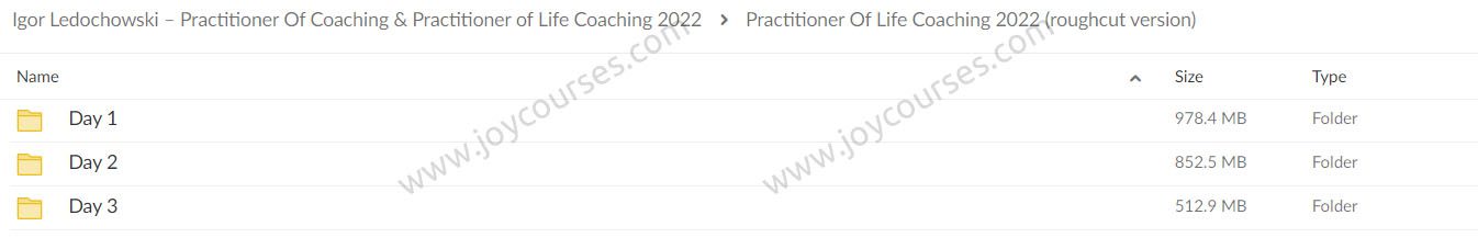 Igor Ledochowski – Practitioner Of Coaching & Practitioner of Life Coaching 2022