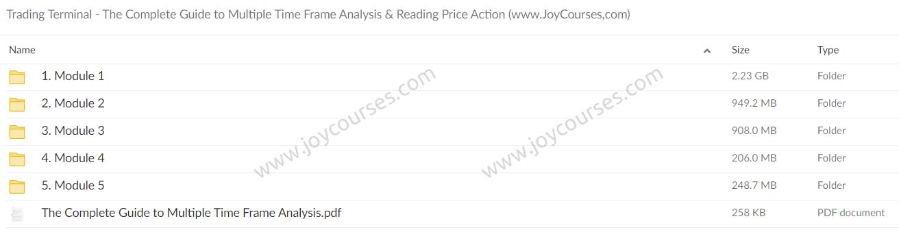 Trading Terminal - The Complete Guide to Multiple Time Frame Analysis & Reading Price Action