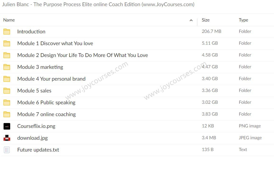 Julien Blanc - The Purpose Process Elite online Coach Edition