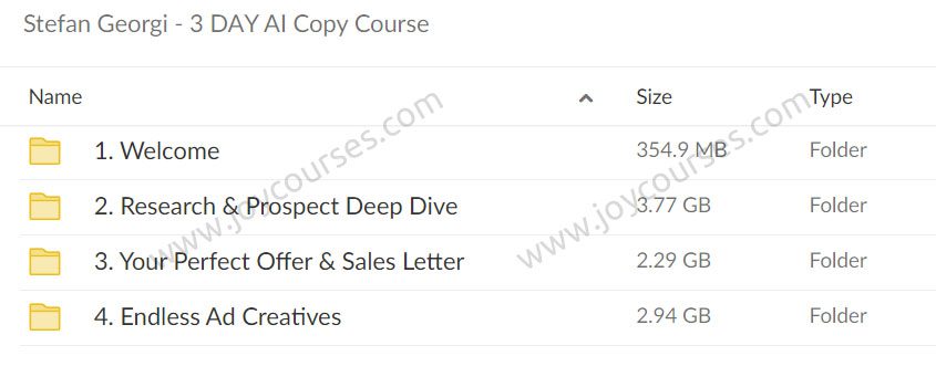 Stefan Georgi - 3 DAY AI Copy Course