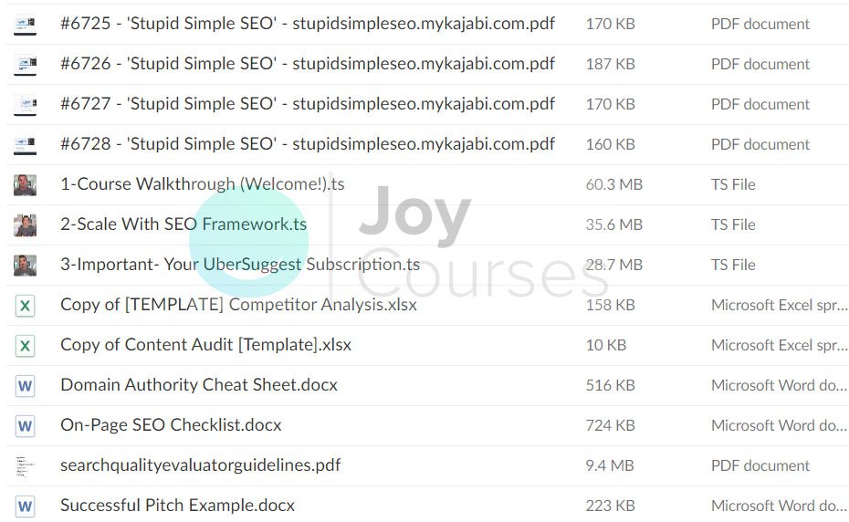 Stupid Simple SEO v5 2023 by Mike Futia