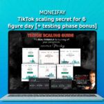 MONEIFAY – TikTok Scaling Secret for 6 FIGURE DAY [+ Testing Phase BONUS]