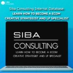 Siba Consulting Internal Database: Learn how to become a ecom creative strategist and LP specialist