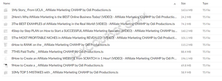 ODI Productions - Affiliate Marketing CHAMP Video Course