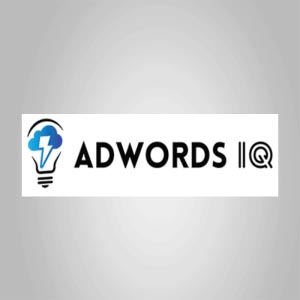 Caitlin Schlichting - AdWords IQ Academy