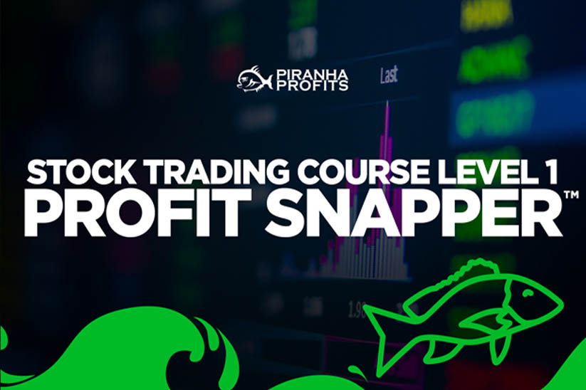 Piranha Profits - Stock Trading Course Level 1 Profit Snapper