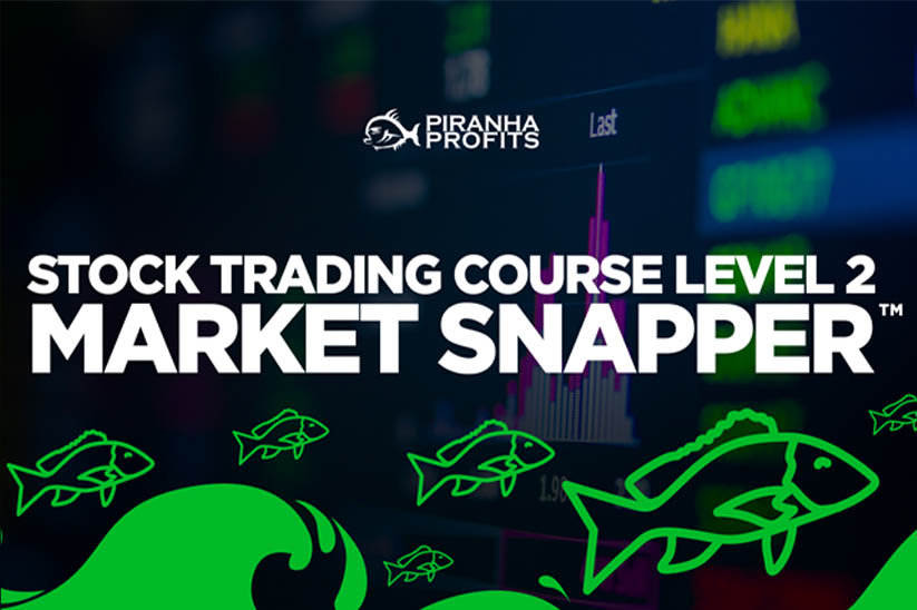 Piranha Profits - Stock Trading Course Level 2 Market Snapper