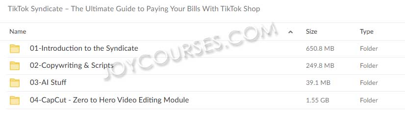 TikTok Syndicate – The Ultimate Guide to Paying Your Bills With TikTok Shop