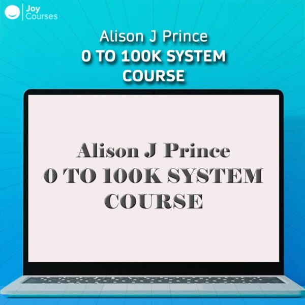 Alison J Prince - 0 To 100k System