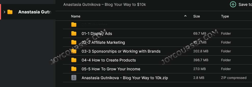 Anastasia Gutnikova – Blog Your Way to $10k