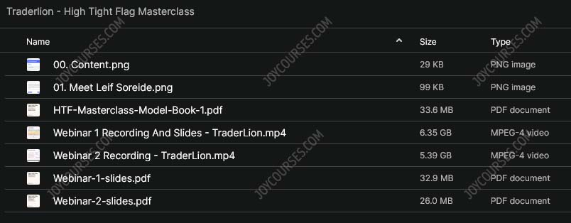 Traderlion – High Tight Flag Masterclass